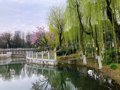 -后襄河公园