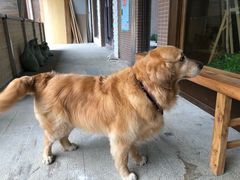 -沁屋面包店(人民东路店)