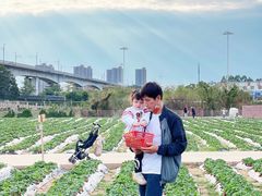-麻涌飞鸭开心农场