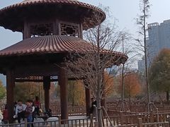 -五缘湾湿地公园