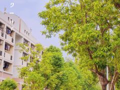 -广西大学(大学东路校区)