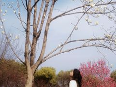 -凤凰沟景区