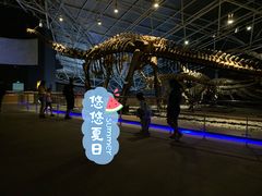 -世界恐龙谷景区