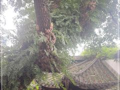 -星巴克(福州三坊七巷店)