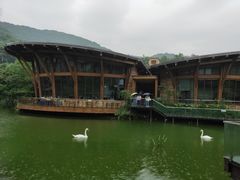 -杭州开元森泊度假乐园