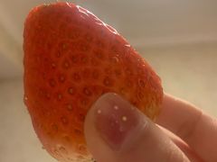 -煲宫猪肚鸡(昆山金鹰国际购物中心店)