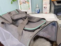 -纳吉亚猫专科动物诊疗中心(蒋宅口分院)