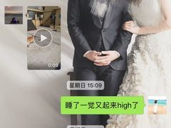 -波姐宠物家庭寄养
