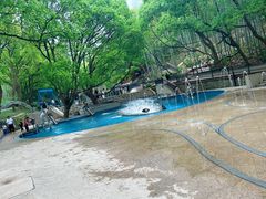 -东明山森林公园
