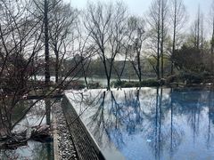 -杭州西子湖四季酒店-WL BISTRO西湖餐厅(灵隐路店)