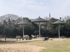 -宁波野生动物园