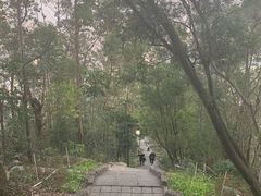 -小南山公园