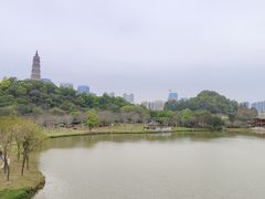 -顺峰山公园