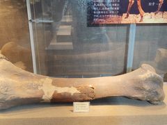 -丁村民俗博物馆