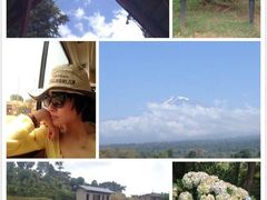 -乞力马扎罗山