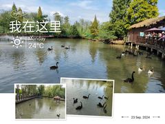 -溱湖国家湿地公园