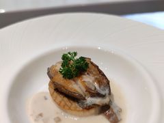 活鲍鱼搭牛肝菌菇-一本魅·日式料理