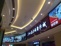 -AMG海上明珠影城(上海环球港RealDCinema店)