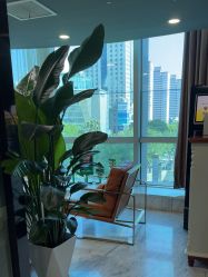 -洁铭新加坡医美