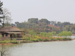 -杏花村文化旅游区