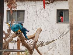 -上海动物园(地铁站)