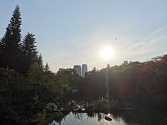 -云溪植物园
