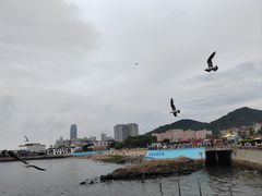 -黑石礁公园