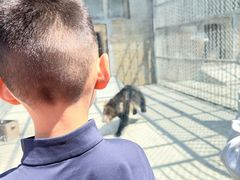 -哈尔滨北方森林动物园