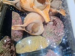 -海鲨湾海鲜会馆(百家湖1912店)