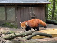 -云南野生动物园