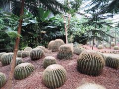 -呀路古热带植物园