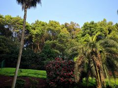 -圣爵菲斯大酒店(长沙世界之窗店)