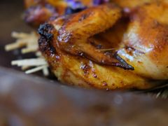 -Hi City·城市之巅