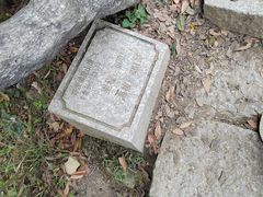 -梧桐山风景名胜区