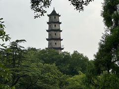 -江心屿景区