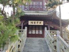 -八大山人梅湖景区
