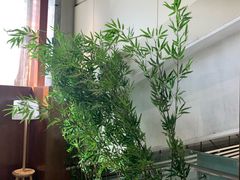 -丽江三义国际机场