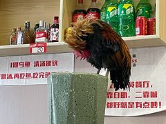 -重庆何乌鱼(南湖逸家店)