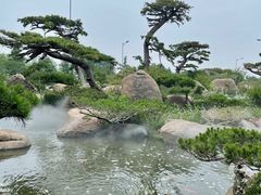 -罗红摄影艺术馆