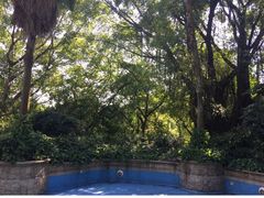 -佛山祈福仙湖酒店