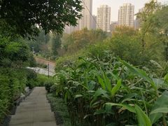 -龙头寺公园