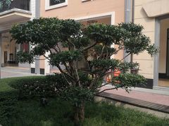 -王府井奥莱临潼小镇(临潼店)