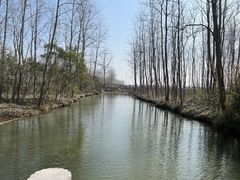 -溱湖国家湿地公园