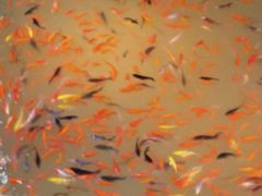 -党河风情线国家水利风景区