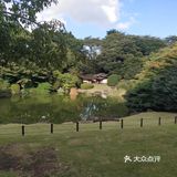 东京国立博物馆 在上野公园
