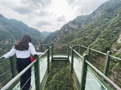 -龙湾潭国家森林公园