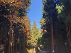 -山王坪喀斯特国家生态公园