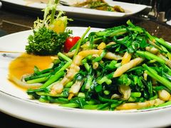 韭菜炒竹蛏-郑庄脂渣海鲜楼(九水路店)