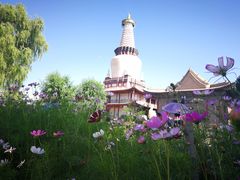 -张掖大佛寺景区