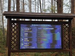 -黄海国家森林公园